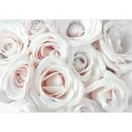 Papier peint Satin Rose Intissé - Blanc - 250 x 175 cm