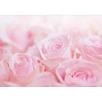 Fototapete Ocean of Roses Vlies - Rosa - 200 x 140 cm