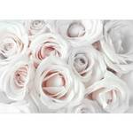 Fotomurale Satin Rose Tessuto non tessuto - Bianco - 350 x 245 cm