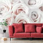 Fotobehang Satin Rose vlies - wit - 350 x 245 cm