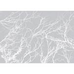 Fotomurale White Trees Tessuto non tessuto - Grigio - 200 x 140 cm