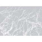 Fotomurale White Trees Tessuto non tessuto - Grigio - 300 x 210 cm