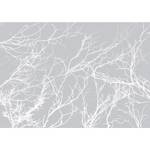 Fotomurale White Trees Tessuto non tessuto - Grigio - 450 x 315 cm