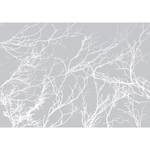 Fotomurale White Trees Tessuto non tessuto - Grigio - 400 x 280 cm