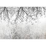 Fotobehang Natural Brightness vlies - zwart/wit - 450 x 315 cm