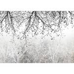 Fotomurale Natural Brightness Tessuto non tessuto - Nero - Bianco - 200 x 140 cm