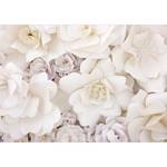 Papier peint Floral Display Intissé - Blanc - 450 x 315 cm
