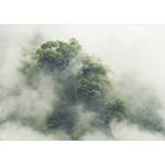 Fotomurale Foggy Amazon Tessuto non tessuto - Grigio / Verde - 300 x 210 cm