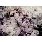 Papier peint Home Flowerbed Intissé - Gris / Rose - 450 x 315 cm