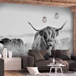 Fotobehang Cow vlies - zwart/wit - 300 x 210 cm