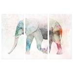 Afbeelding Painted Elephant (3-delig) verwerkt hout & linnen - meerdere kleuren - 90 x 60 cm