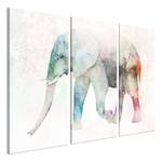 Afbeelding Painted Elephant (3-delig) verwerkt hout & linnen - meerdere kleuren - 120 x 80 cm