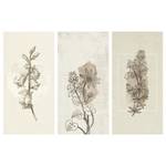Wandbild Herbarium (3-teilig) Holzwerkstoff & Leinen - Beige