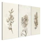 Afbeelding Herbarium (3-delig) verwerkt hout & linnen - beige
