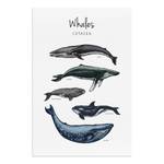 Wandbild Whales Holzwerkstoff & Leinen - Mehrfarbig