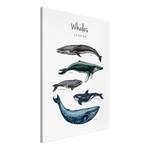 Wandbild Whales Holzwerkstoff & Leinen - Mehrfarbig