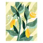 Papier peint intissé Lemon Fresh Intissé - Jaune / Gris
