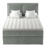 Premium Boxspringbett KINX Samt Vaia: Grau - 160 x 200cm - H3 - 130 cm