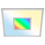 LED-Deckenleuchte Magic Ento I Polycarbonat / Eisen - 1-flammig - Tiefe: 45 cm
