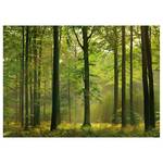 Wandbild Autumn Forest Polyester PVC / Fichtenholz - Grün / Braun