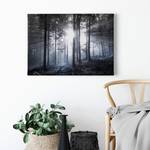 Leinwandbild Sun Rays Polyester PVC / Fichtenholz - Blau  / Weiß