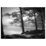 Impression sur toile Lake View Polyester PVC / Épicéa - Blanc / Noir