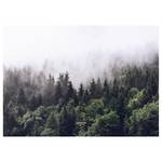 Leinwandbild Nebliger Foggy Forest Polyester PVC / Fichtenholz - Grün / Weiß