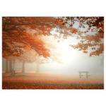 Impression sur toile Forest At Rest Polyester PVC / Épicéa - Marron / Orange