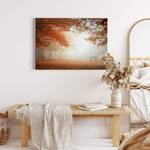 Impression sur toile Forest At Rest Polyester PVC / Épicéa - Marron / Orange