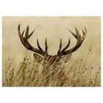 Afbeelding Watchful Deer polyester PVC/sparrenhout - bruin  /beige