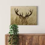 Afbeelding Watchful Deer polyester PVC/sparrenhout - bruin  /beige