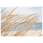 Leinwandbild Strand Dune Grass Polyester PVC / Fichtenholz - Blau  / Beige