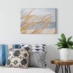 Impression sur toile Strand Dune Grass Polyester PVC / Épicéa - Bleu  / Beige