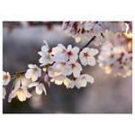 Impression sur toile Cherry Branch Polyester PVC / Épicéa - Blanc / Rose