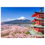 Impression sur toile Mount Fuji Polyester PVC / Épicéa - Bleu  / Rose