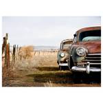Impression sur toile Old Rusted Cars Polyester PVC / Épicéa - Marron / Beige