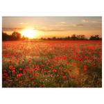 Leinwandbild Poppy Field Polyester PVC / Fichtenholz - Rot / Orange