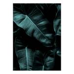 Leinwandbild Jungle Polyester PVC / Fichtenholz - Grün