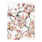 Quadro Flora Magnolia Poliestere PVC / Legno di abete rosso - Bianco / Rosa