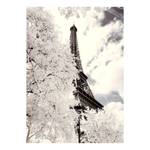 Leinwandbild Paris White Paris Polyester PVC / Fichtenholz - Weiß / Grau