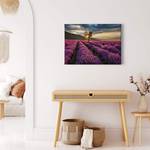 Impression sur toile Lavender Fields Polyester PVC / Épicéa - Violet