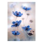 Quadro Blue Cosmos Poliestere PVC / Legno di abete rosso - Blu / Bianco