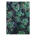 Leinwandbild Succulents Polyester PVC / Fichtenholz - Grün