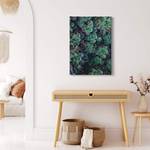 Impression sur toile Succulents Polyester PVC / Épicéa - Vert