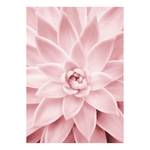 Afbeelding Pink Succulents polyester PVC/sparrenhout - lichtroze/donkerroze