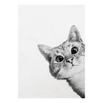 Tableau déco Sneaky Cat Polyester PVC / Épicéa - Blanc / Noir