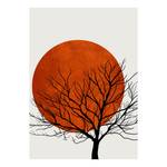 Wandbild Warm Sunset Polyester PVC / Fichtenholz - Rot / Orange