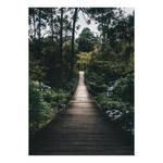 Impression sur toile Forest Road Polyester PVC / Épicéa - Vert