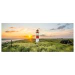 Canvas con faro Lighthouse Sylt Poliestere PVC / Legno di abete rosso - Verde / Rosso