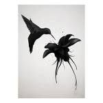 Tableau déco Hummingbirds Polyester PVC / Épicéa - Blanc / Noir